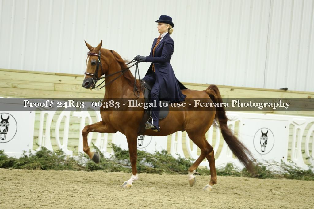 Proof 24R13_06383