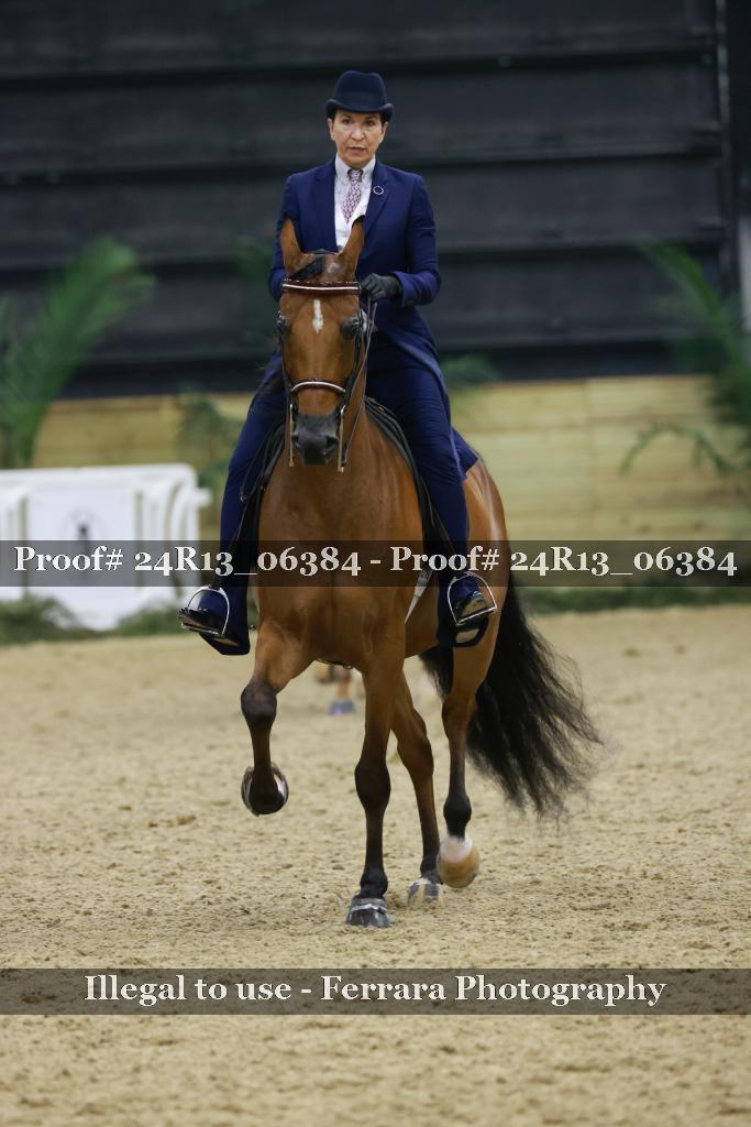 Proof 24R13_06384