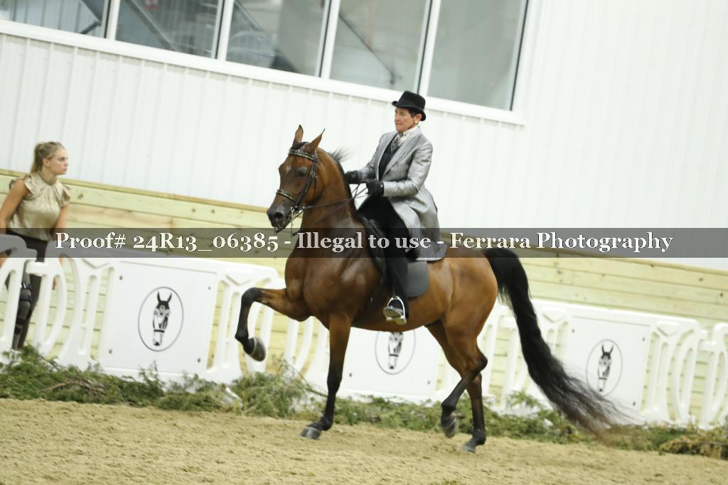 Proof 24R13_06385