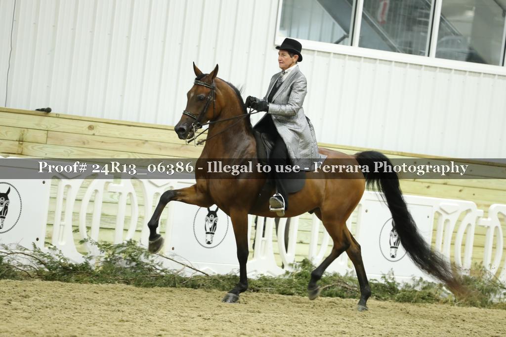 Proof 24R13_06386
