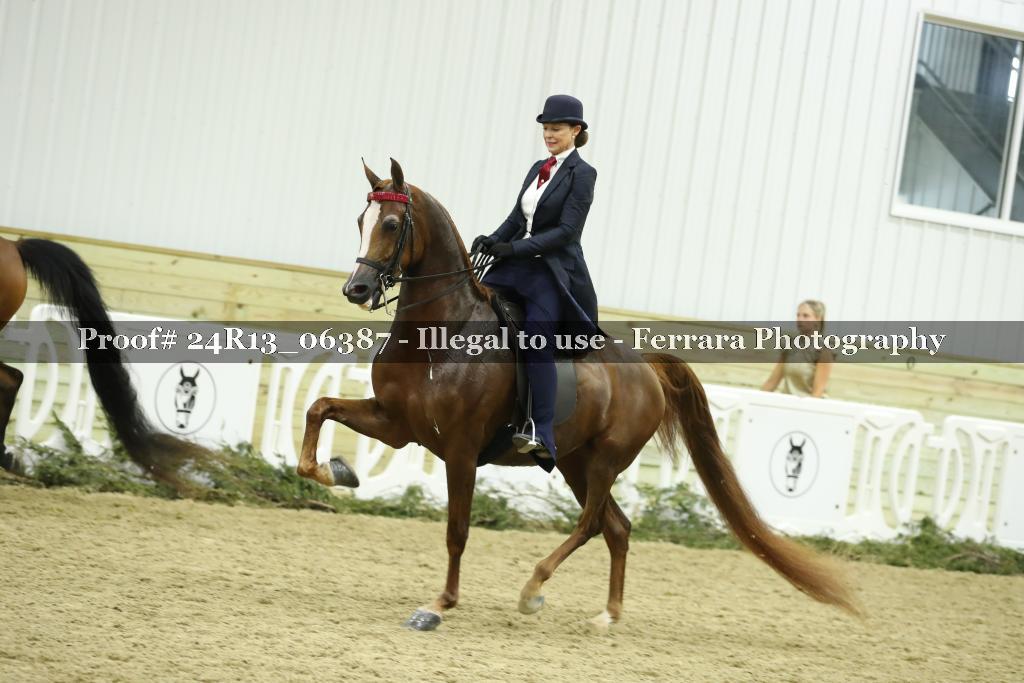 Proof 24R13_06387