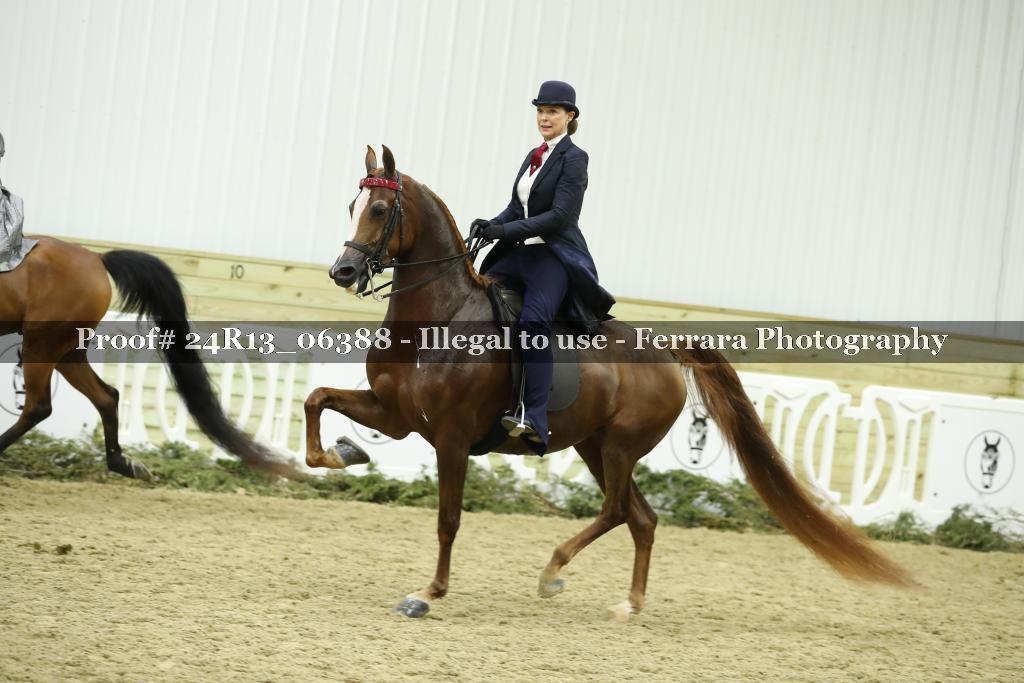 Proof 24R13_06388