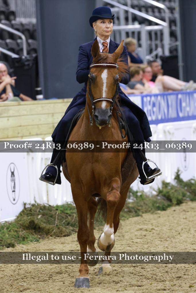 Proof 24R13_06389