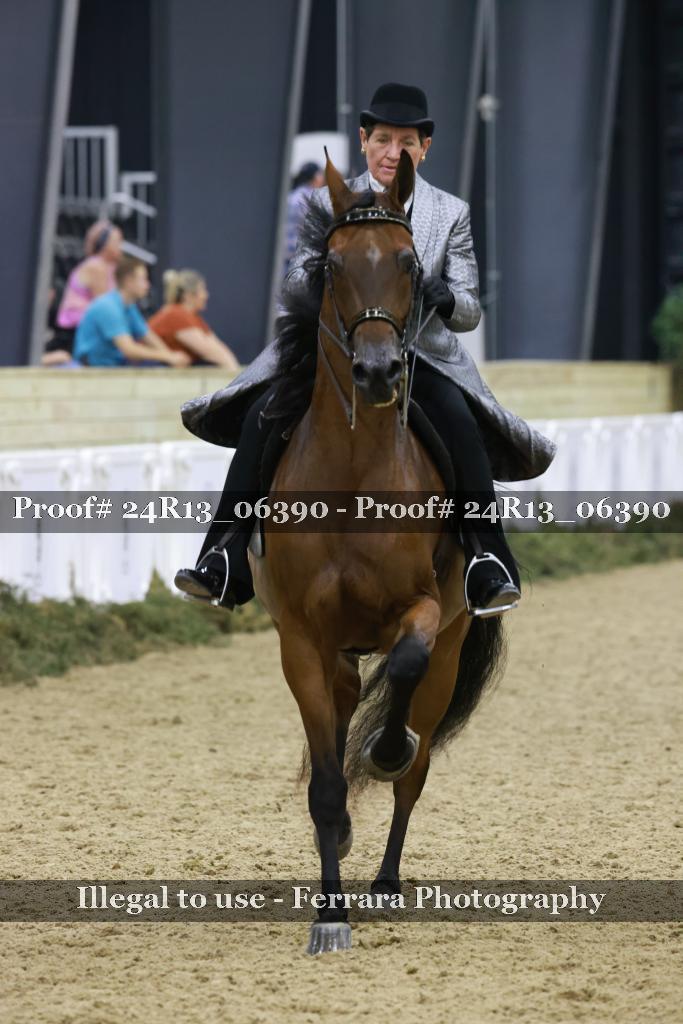 Proof 24R13_06390