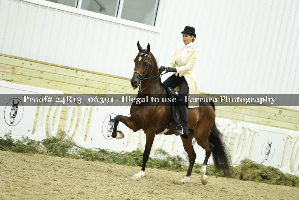 Proof 24R13_06391