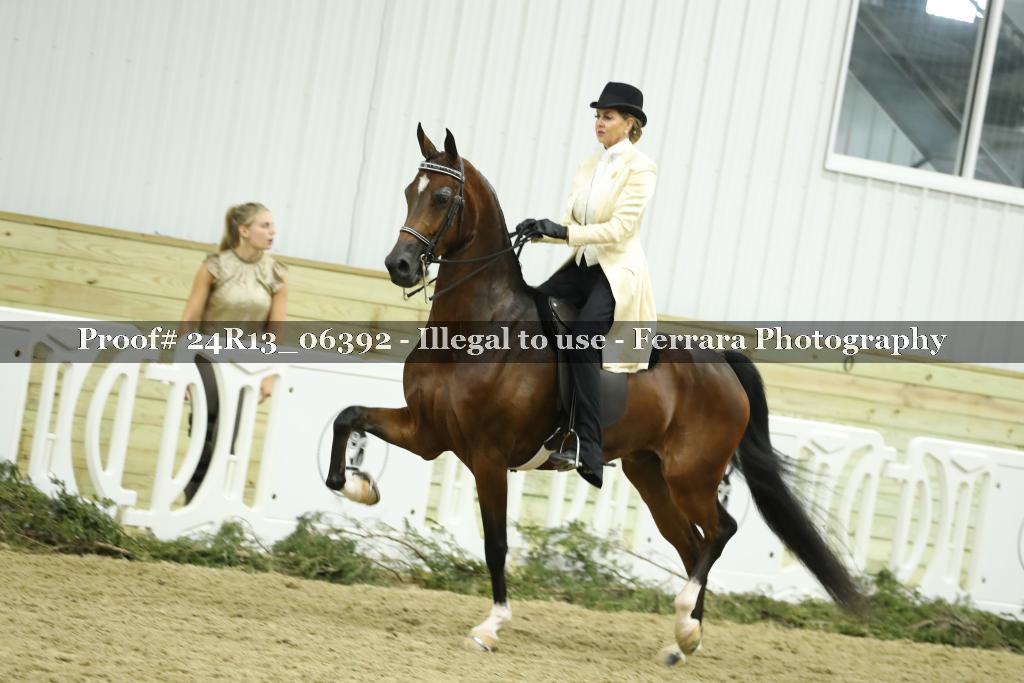 Proof 24R13_06392