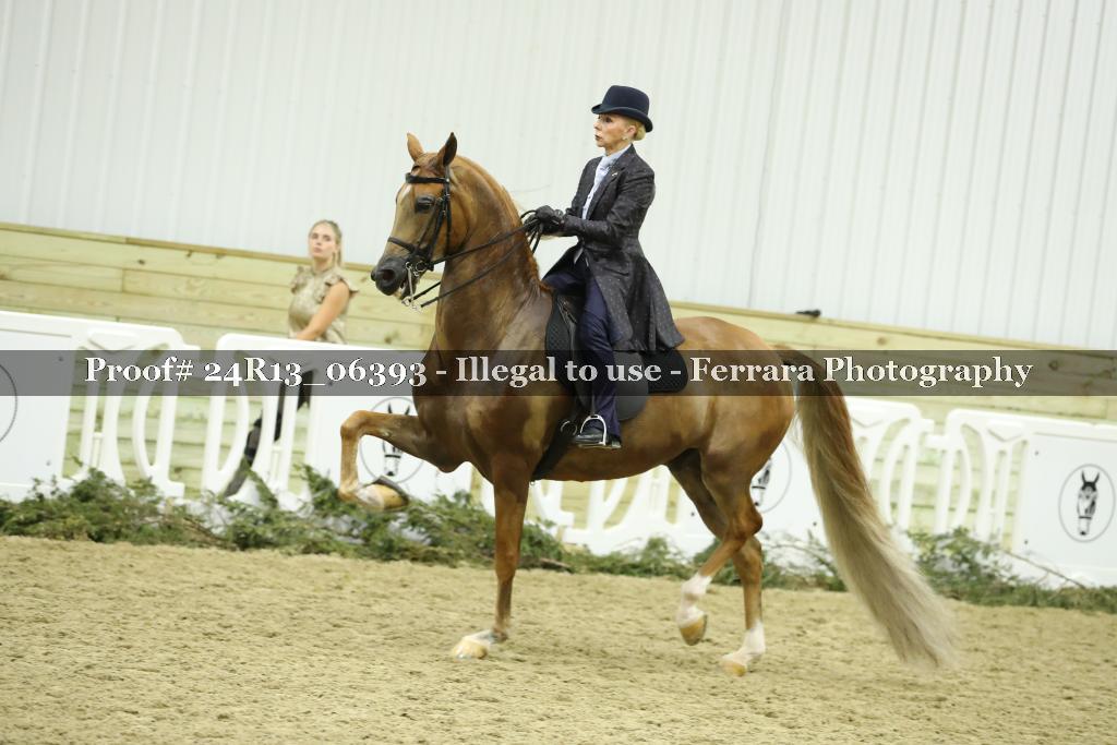 Proof 24R13_06393