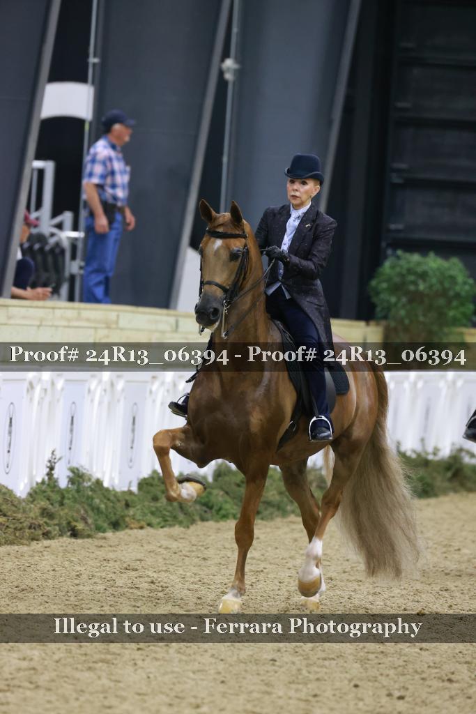 Proof 24R13_06394