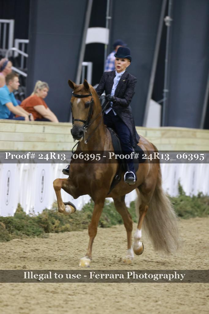 Proof 24R13_06395