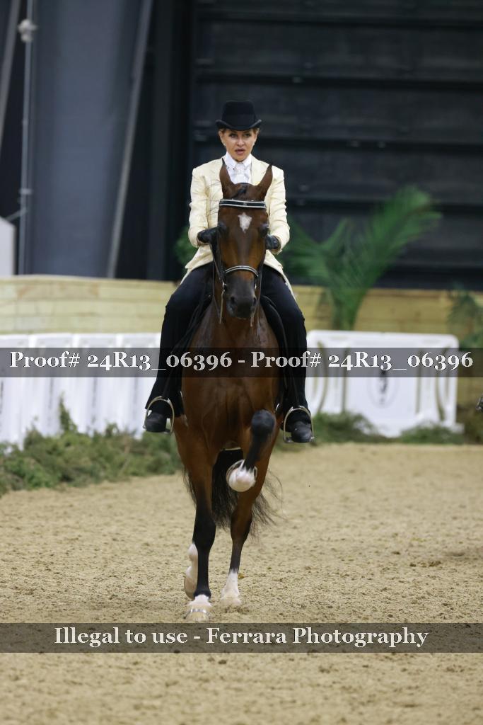 Proof 24R13_06396