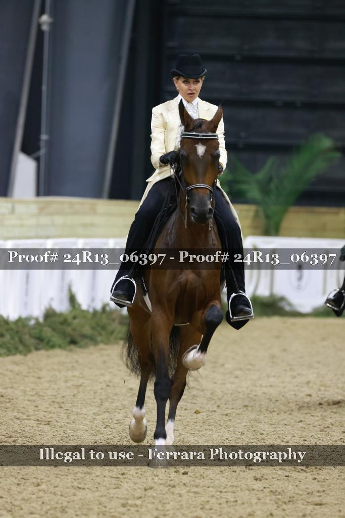 Proof 24R13_06397