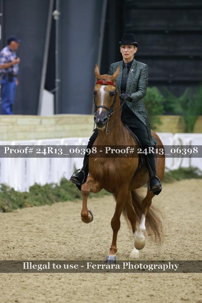 Proof 24R13_06398