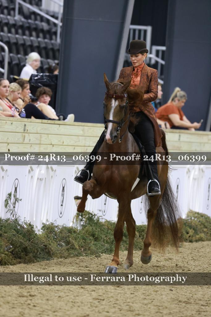 Proof 24R13_06399