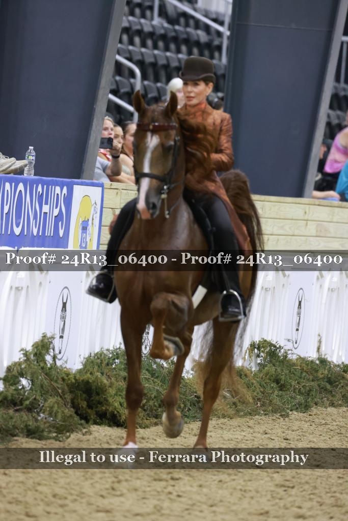 Proof 24R13_06400