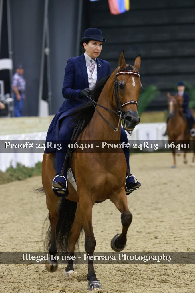 Proof 24R13_06401