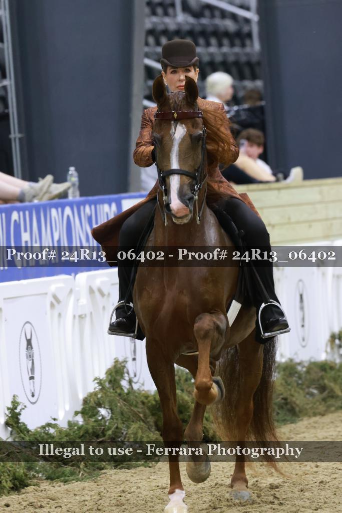 Proof 24R13_06402