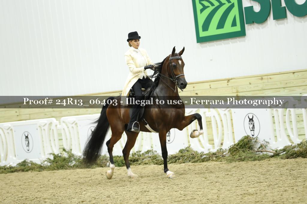 Proof 24R13_06403
