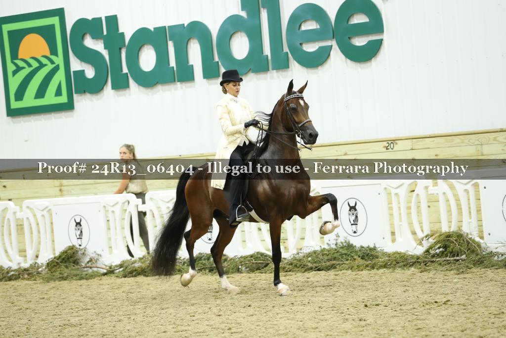 Proof 24R13_06404