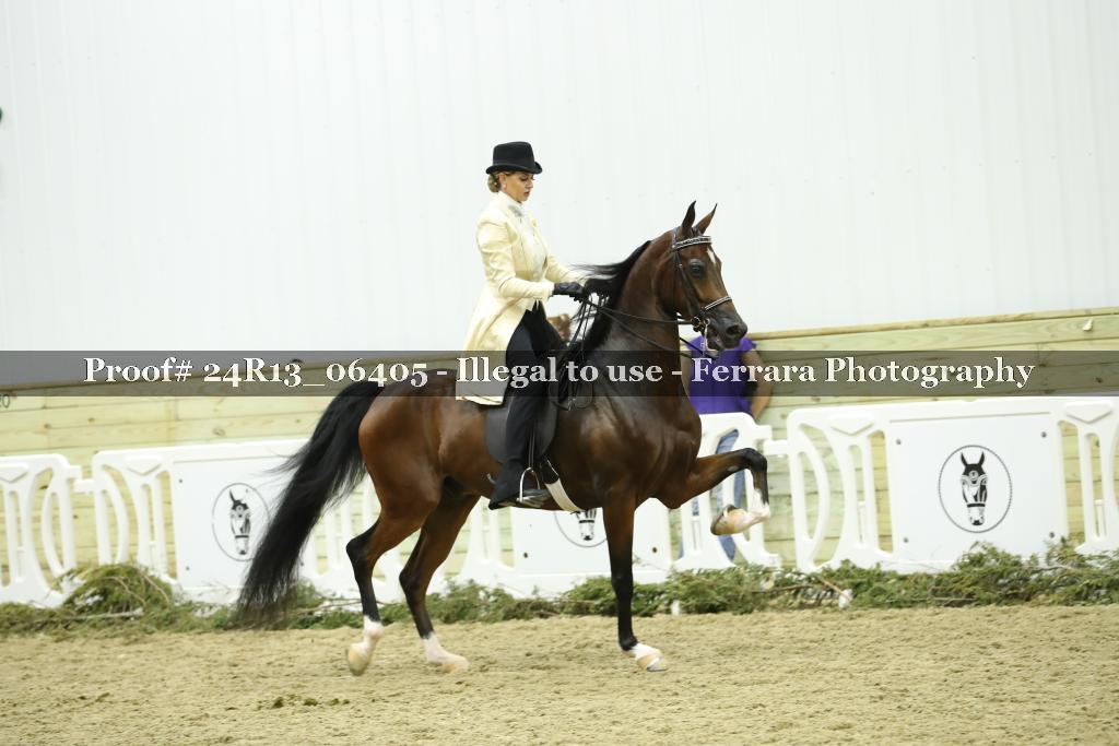 Proof 24R13_06405