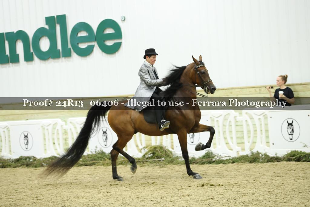 Proof 24R13_06406