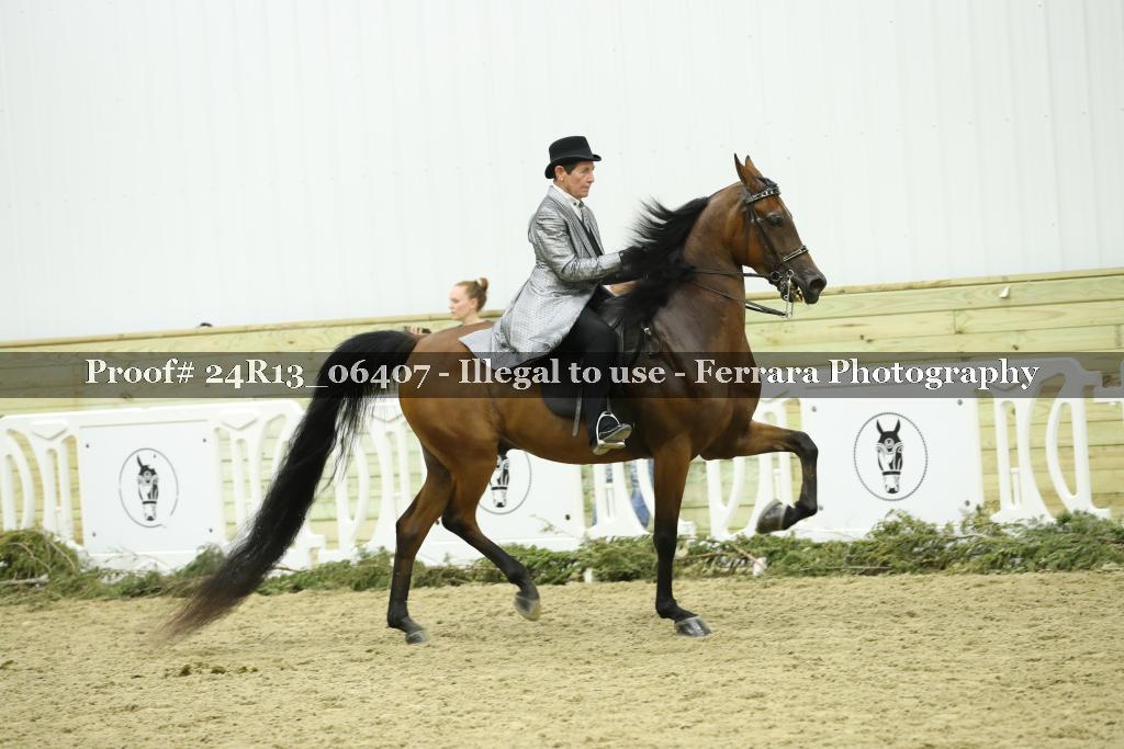 Proof 24R13_06407