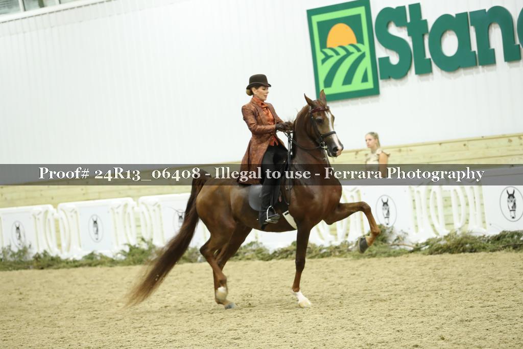 Proof 24R13_06408