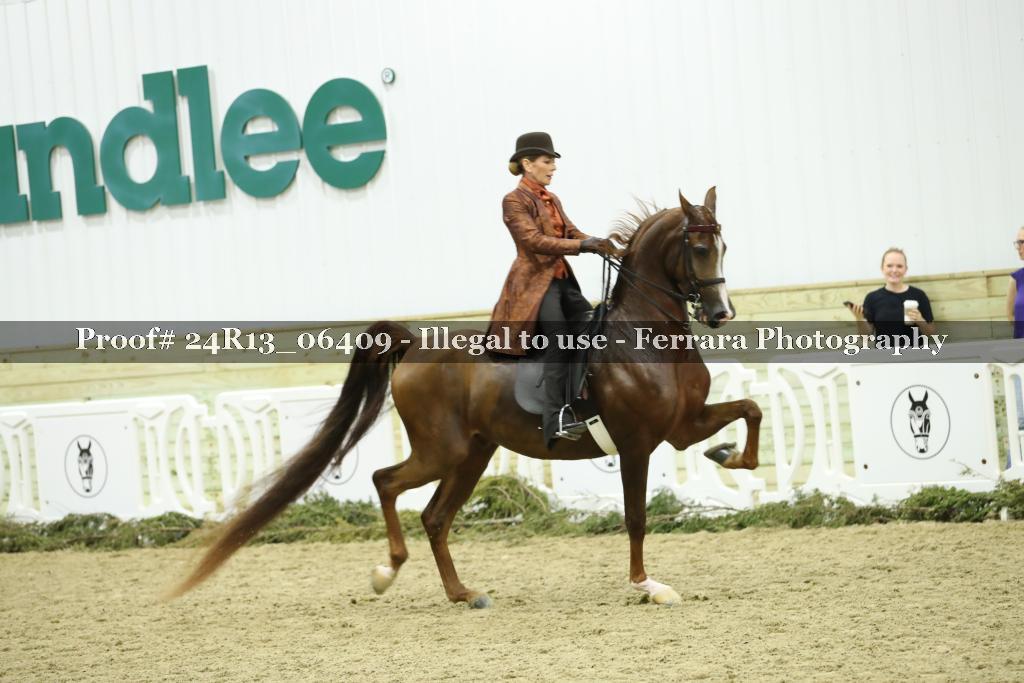 Proof 24R13_06409