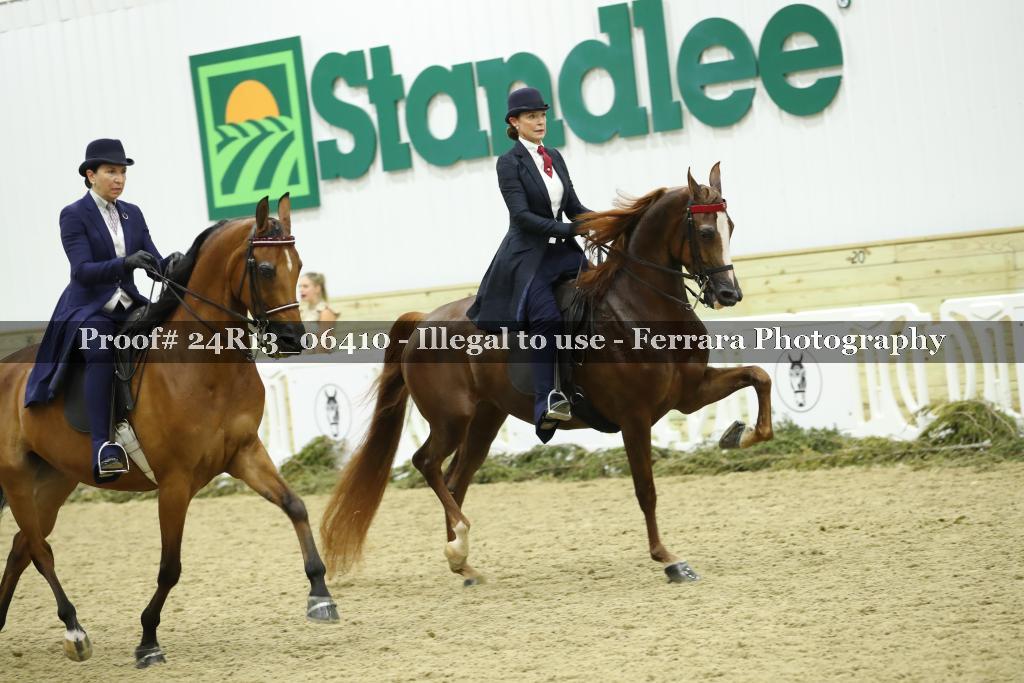 Proof 24R13_06410