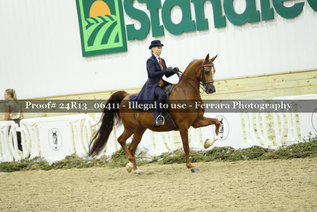 Proof 24R13_06411