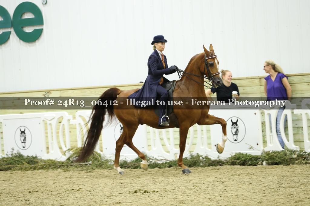 Proof 24R13_06412