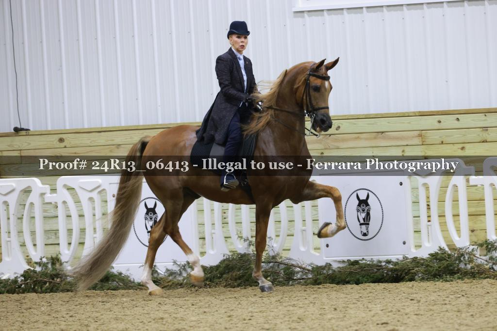 Proof 24R13_06413