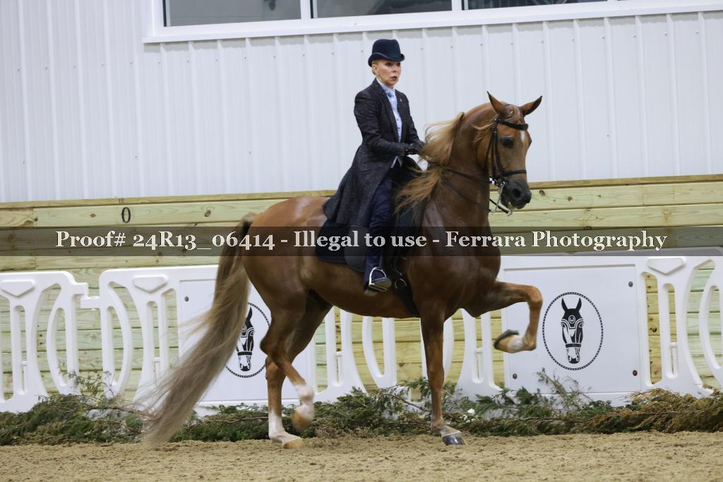 Proof 24R13_06414