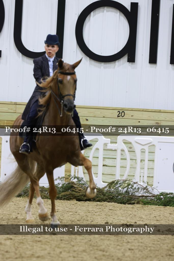 Proof 24R13_06415