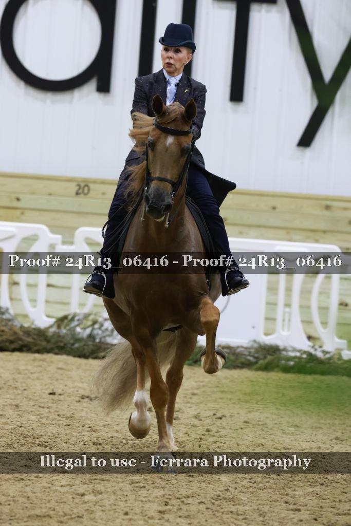 Proof 24R13_06416