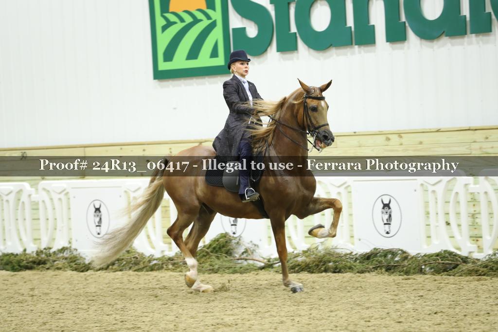 Proof 24R13_06417
