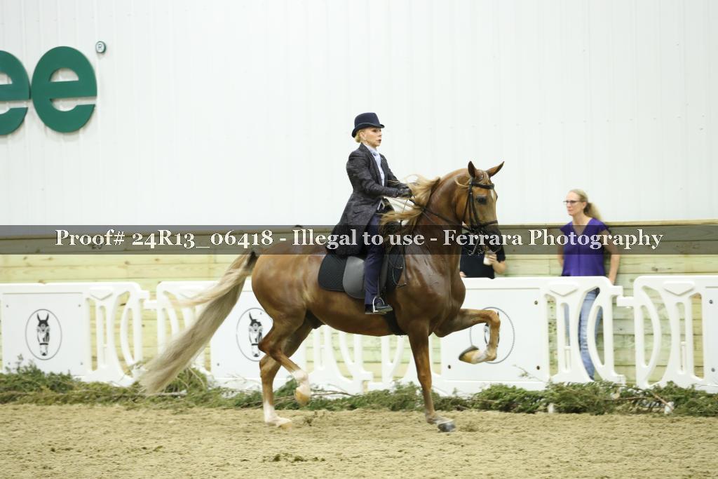 Proof 24R13_06418
