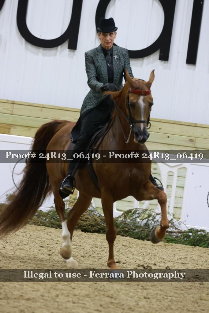 Proof 24R13_06419