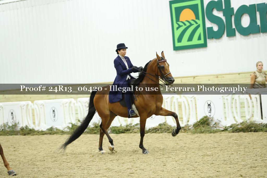 Proof 24R13_06420