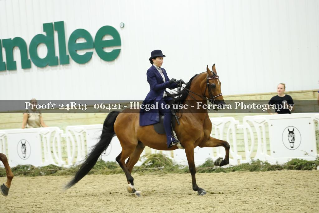 Proof 24R13_06421