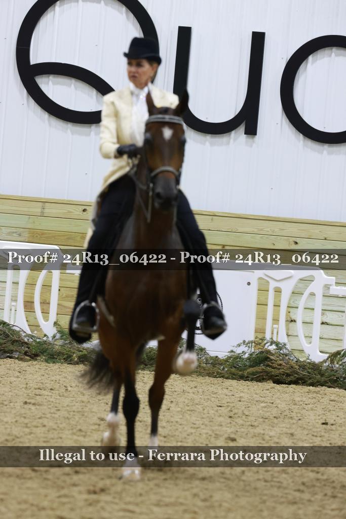 Proof 24R13_06422