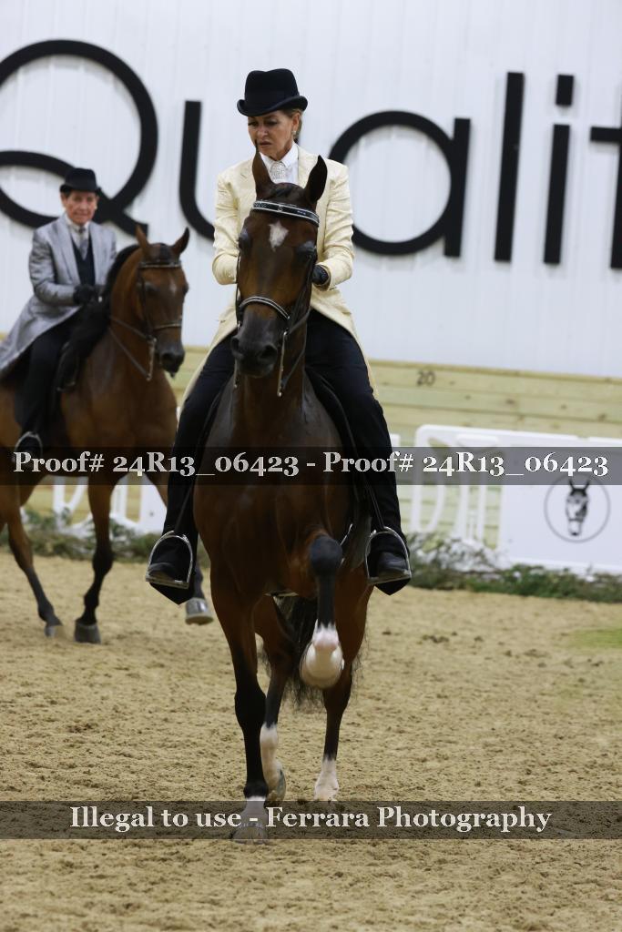 Proof 24R13_06423