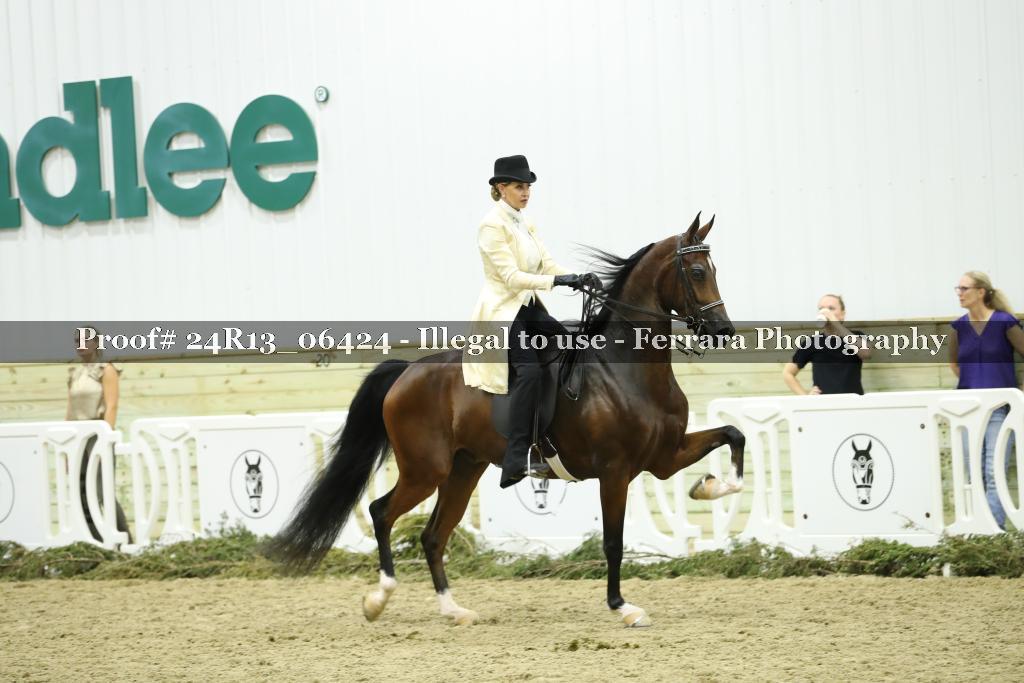 Proof 24R13_06424