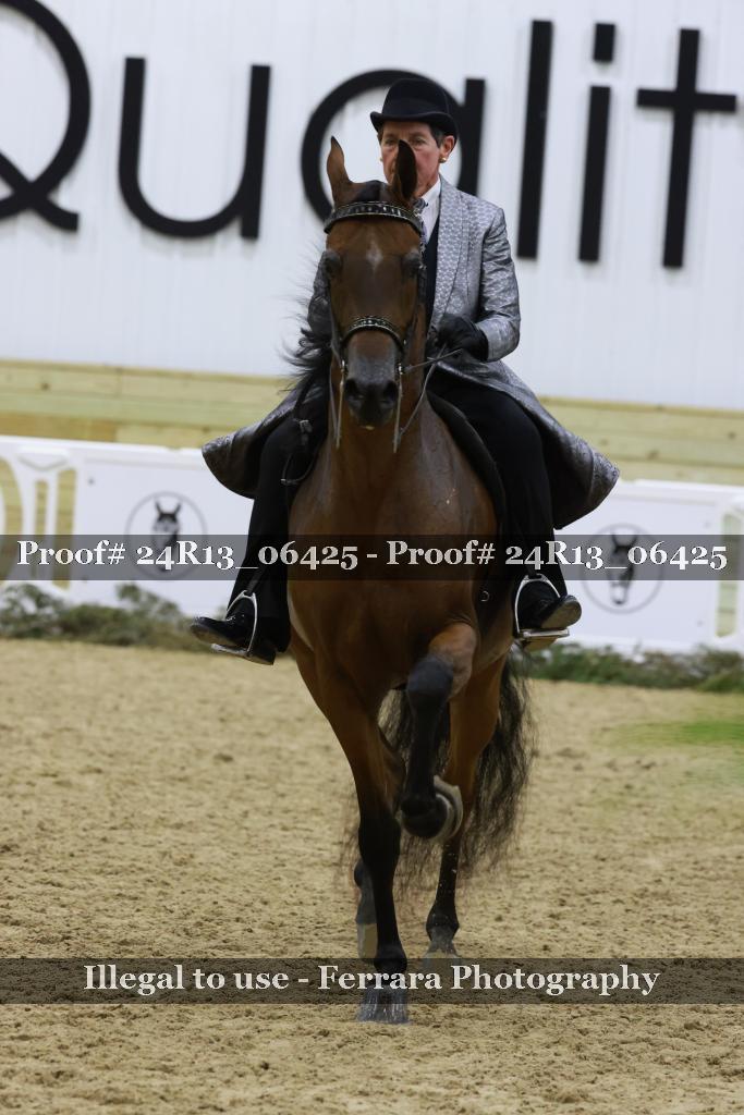 Proof 24R13_06425