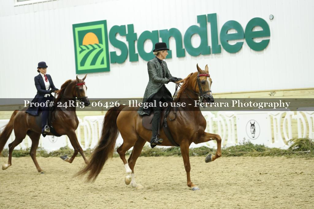 Proof 24R13_06426