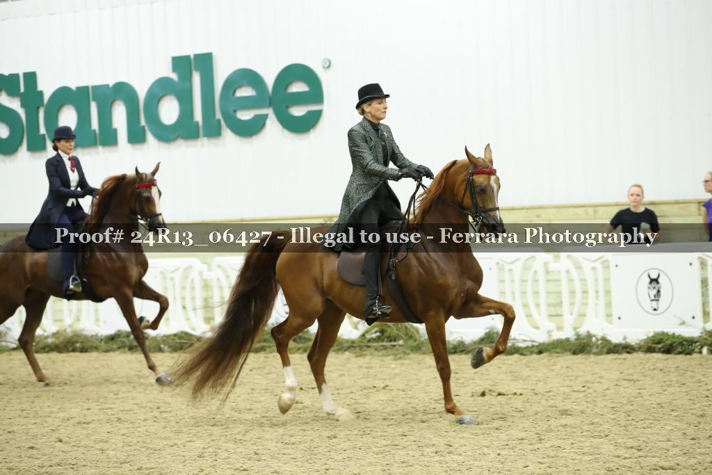 Proof 24R13_06427
