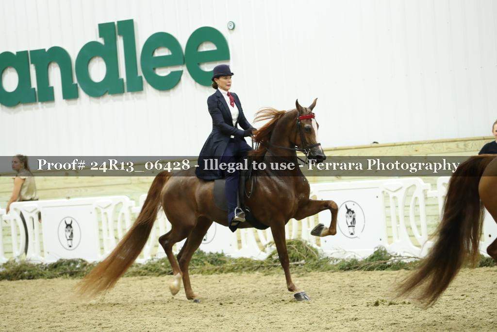 Proof 24R13_06428