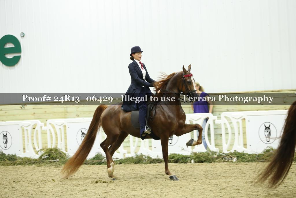 Proof 24R13_06429