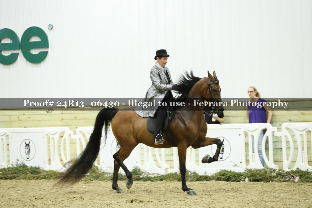 Proof 24R13_06430