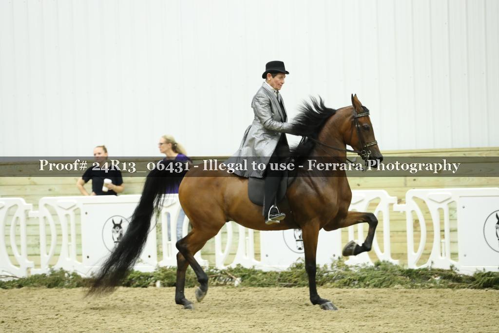 Proof 24R13_06431
