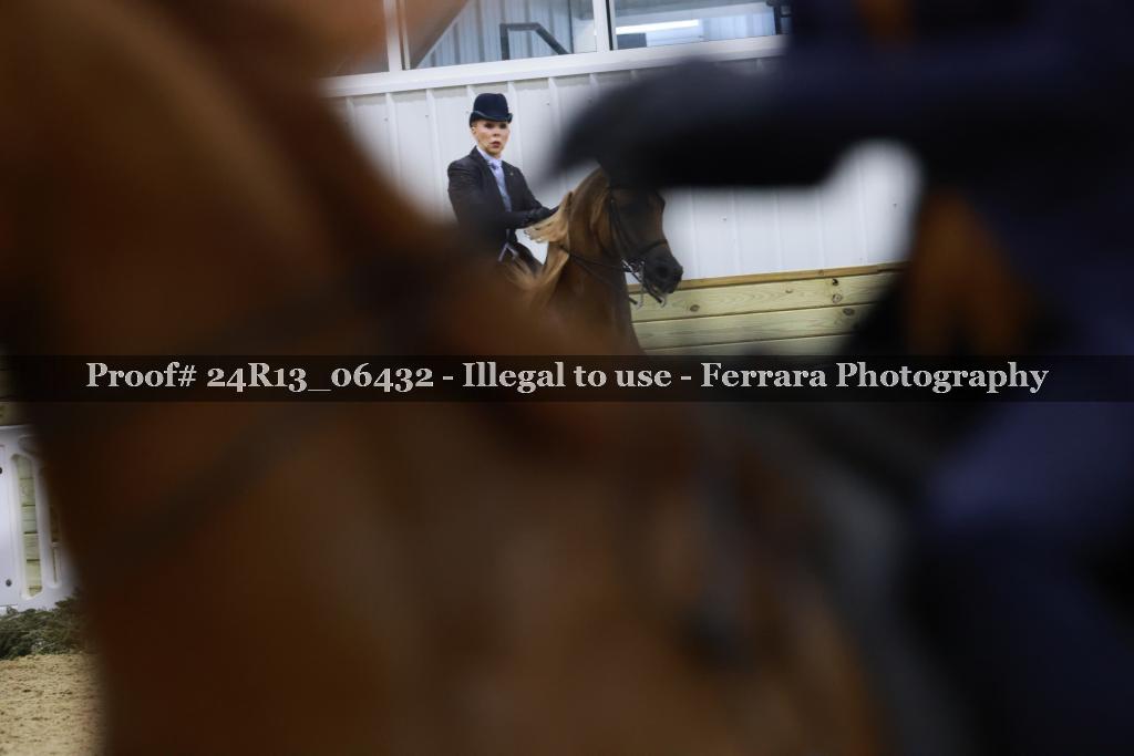 Proof 24R13_06432